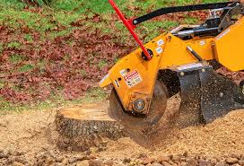 Best Arborist Consultation Services  in Cooperstown, NY